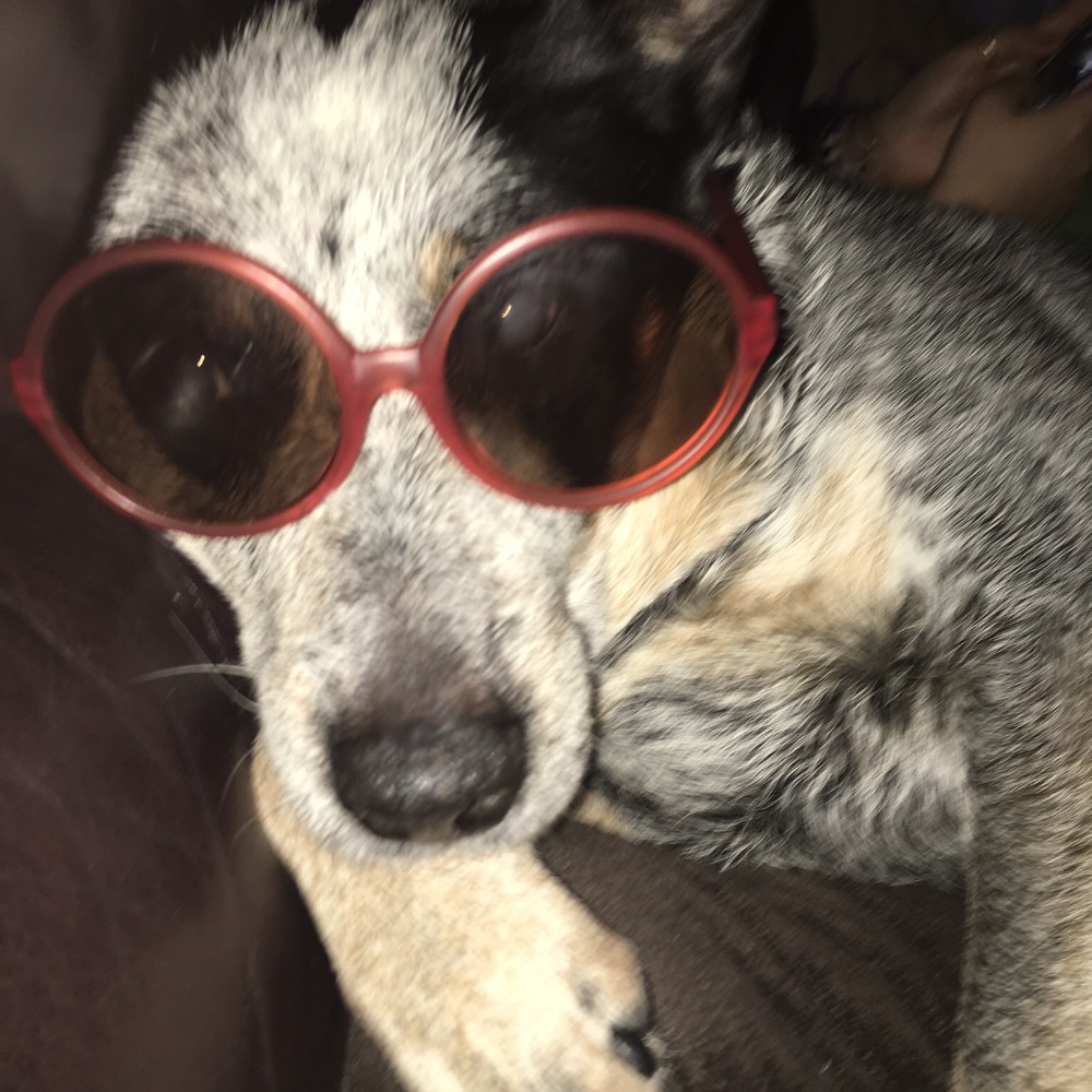 Meet your Posher, Erin